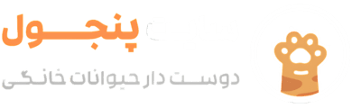 پنجول